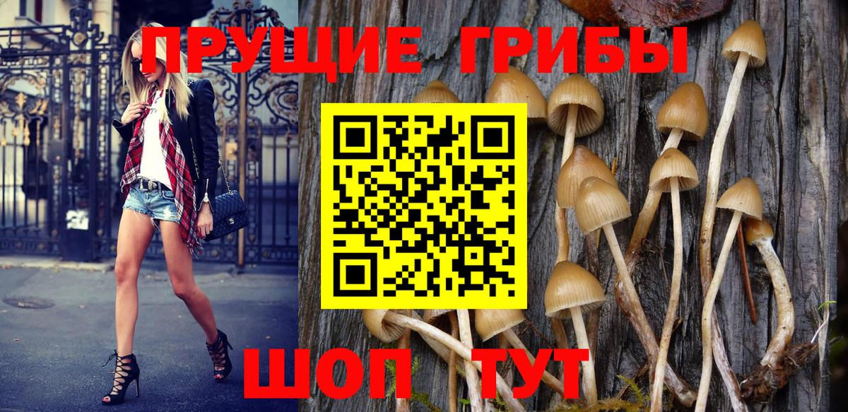 Троицк  Галлюциногенные грибы Psilocybe  Вход с VPN 